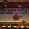 Sabaudia: Illeciti e accertamenti in campo ambientale